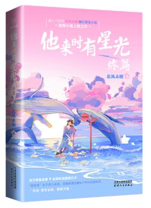 他来时有星光 终篇