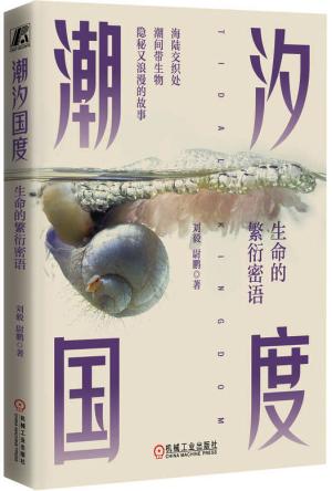 潮汐国度:生命的繁衍密语