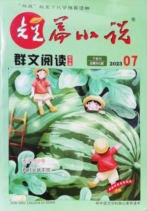 短篇小说 - 群文阅读·初中版（下旬刊）（一年订阅，月刊，12期）